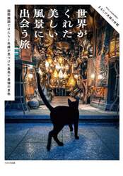 クリックして画像を拡大