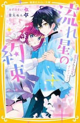 流れ星の約束　〔２〕