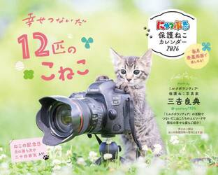 にゃっぷる保護ねこカレンダー２０２６卓上