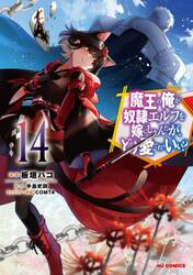 魔王の俺が奴隷エルフを嫁にしたんだ　１４