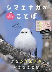 心が軽くなるシマエナガのことば