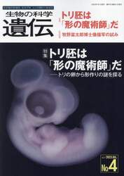 商品詳細画像