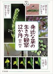 身近な草の生き方観察１２か月