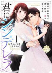 君はシンデレラ　孤高な御曹司が絶え間なく愛を注ぐ理由　１