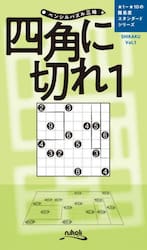 四角に切れ　１