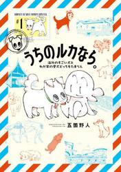 うちのルカなら。　海外のすごい犬とわが家の愛犬どっちもたまらん　１