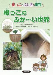 根っこのふしぎな世界　〔４〕
