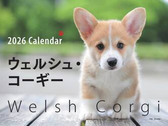 ２０２６ワイドカレンダーウェルシュ・コー