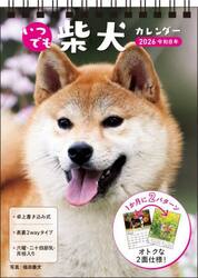 Ｓ３　いつでも柴犬　Ｂ６タテ