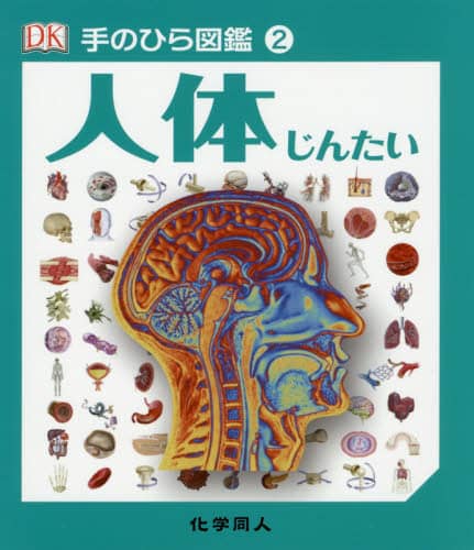 人体 人体
