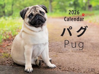 ２０２６ワイドカレンダーワイド判パグ
