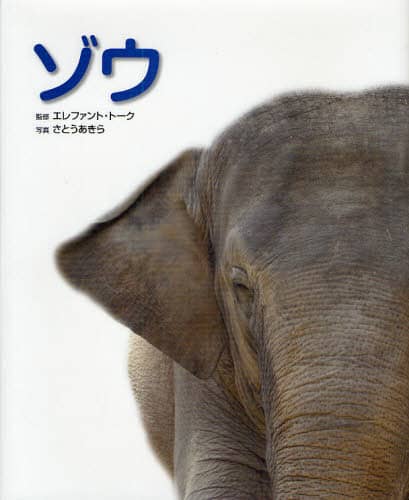 Xh8977○ゾウと子ゾウ【絵葉書】 （ゾウのはな子～だからココに