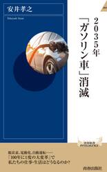 ２０３５年「ガソリン車」消滅