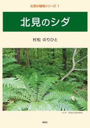 北見のシダ