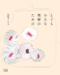 とても小さな理解のための