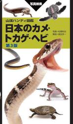 日本のカメ・トカゲ・ヘビ　写真検索