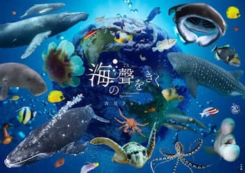 海の聲をきく　Ｕｎｆｏｒｇｅｔｔａｂｌｅ　Ｅｎｃｏｕｎｔｅｒ