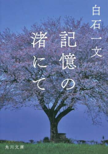 画像がみつかりません