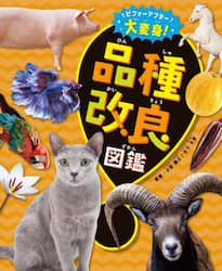 商品詳細画像