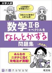 数学?・Ｂ＋ベクトルをなんとかする問題集