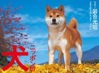 商品詳細画像