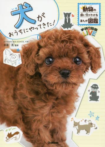 犬がおうちにやってきた！