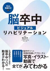 脳卒中ビジュアルリハビリテーション