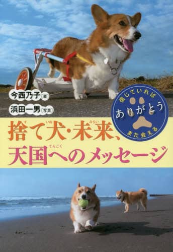 捨て犬・未来、天国へのメッセージ