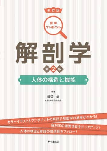 解剖学 人体の構造と機能/渡辺皓／編著 本 ： オンライン書店e-hon