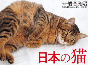 商品詳細画像