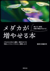 商品詳細画像