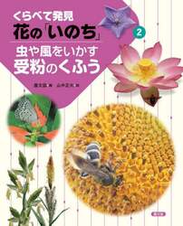 商品詳細画像