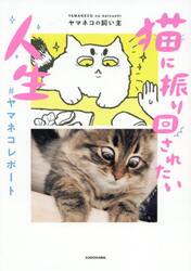 猫に振り回されたい人生　＃ヤマネコレポート