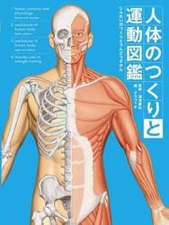 人体のつくりと運動図鑑