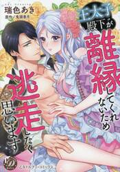 王太子殿下が離縁してくれないため逃走したく思います