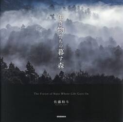 生き物たちの暮す森