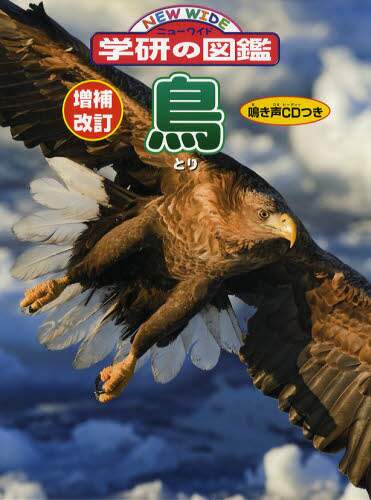 鳥
