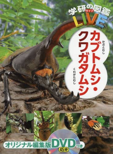 カブトムシ・クワガタムシ