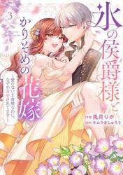 氷の侯爵様とかりそめの花嫁　愛のない王命婚なのに、なぜか溺愛されてます　３