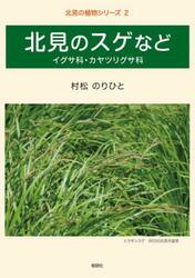 北見のスゲなど　イグサ科・カヤツリグサ科