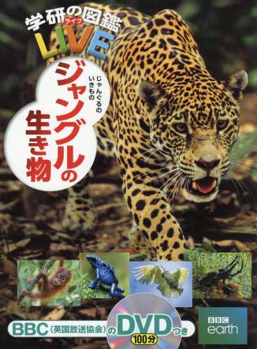 ジャングルの生き物