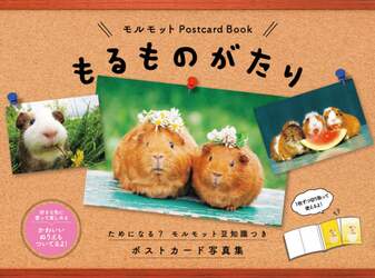 商品詳細画像