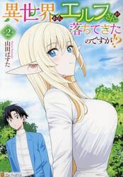 異世界からエルフさんが落ちてきたのですが！？　２