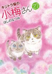 キジトラ猫の小梅さん　２７
