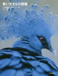 クリックして画像を拡大