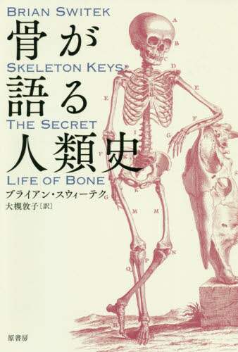 骨が語る人類史