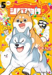 シバつき物件　５