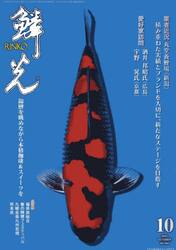 鱗光　２０２５−１０
