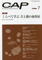 ＣＡＰ　３８５