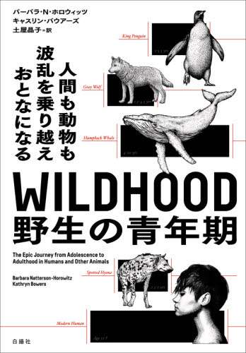 ＷＩＬＤＨＯＯＤ野生の青年期　人間も動物も波乱を乗り越えおとなになる
